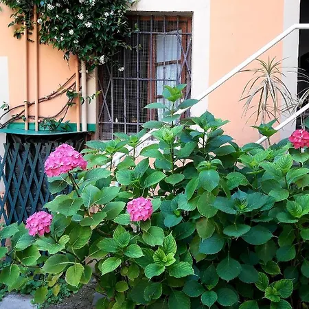 Guest house Il Campanile Ii Locazione Turistica